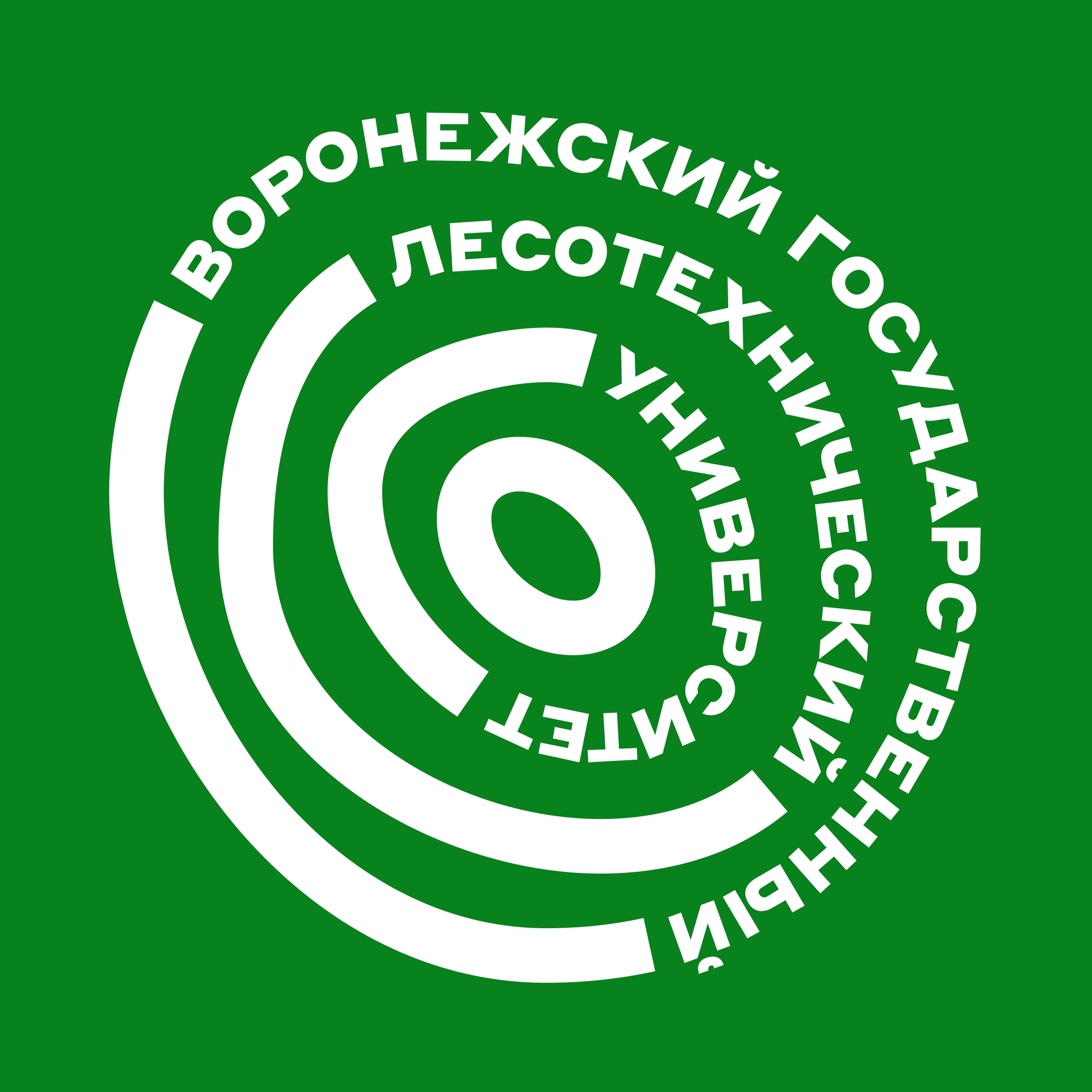 ФГБОУ ВО «Воронежский государственный лесотехнический университет имени Г.Ф. Морозова»